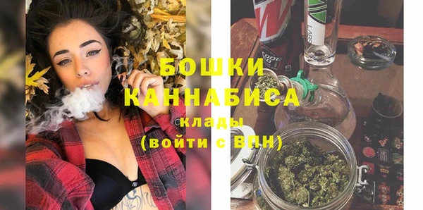 винт Дмитриев