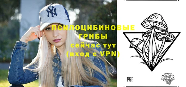 меф Дмитровск