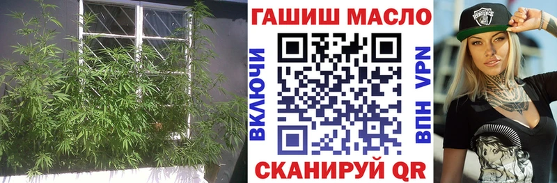 Дистиллят ТГК вейп с тгк  hydra ONION  Заводоуковск  закладка 